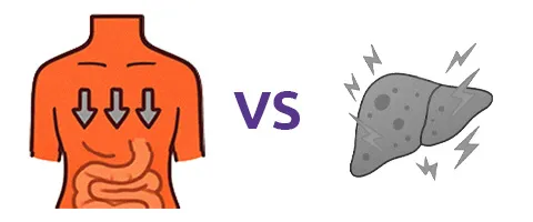 Absorção natural VS Sobrecarga do fígado